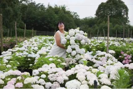 創(chuàng)業(yè)13年搬家13次，打造出3000平方米夢幻花園，這個打工仔憑啥？