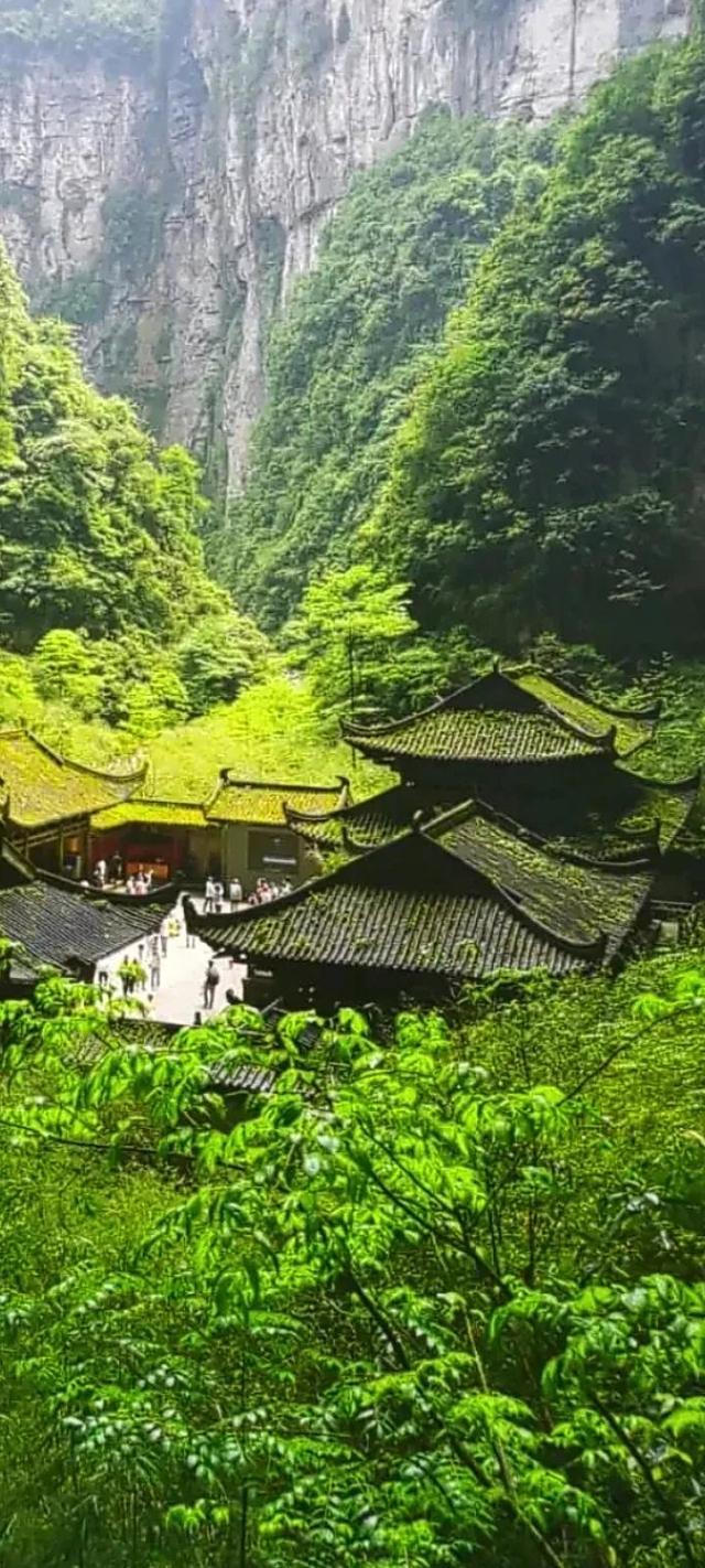 虎生三子，必有一彪，犬生九子，必有一獒?！氨搿?，真實存在嗎？