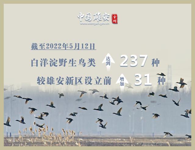 這座未來(lái)的典范城市，“妙”在哪兒？