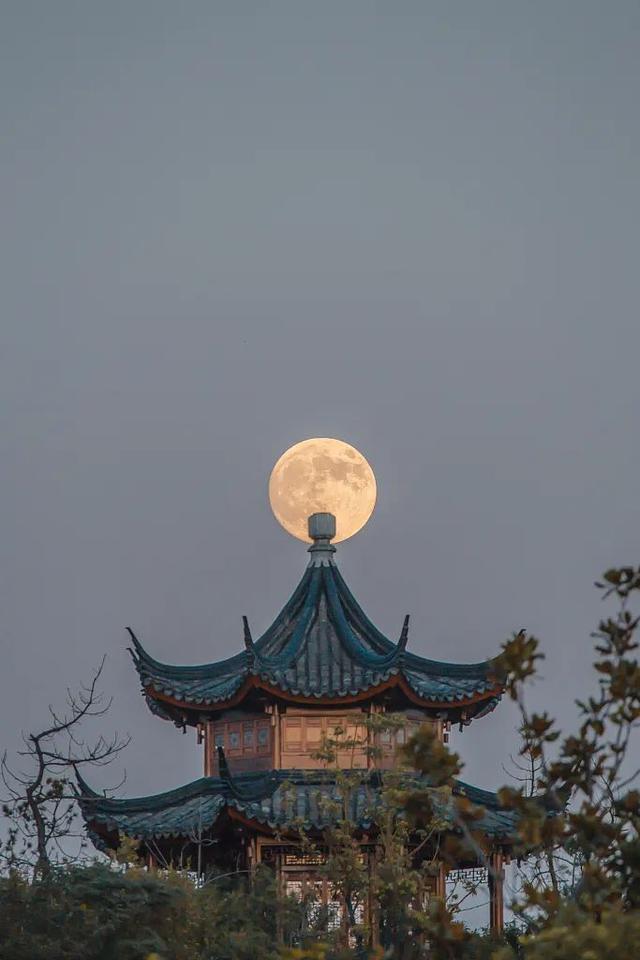 假如白居易邀請(qǐng)李白、莎士比亞一起賞月