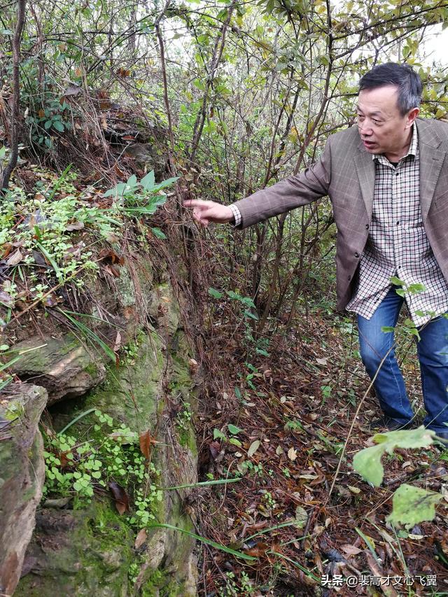 二程書院開學(xué)脈，甘露、望魯并芬芳－裴高才《陳時》選載