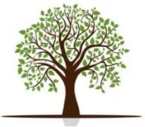 五行生與克的學(xué)習(xí)和整理