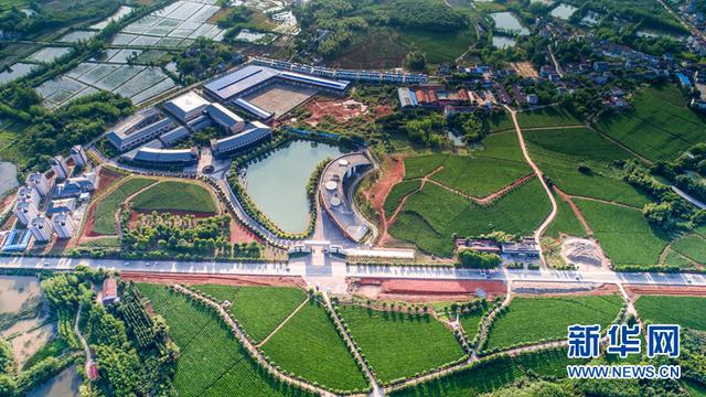 米字五行屬什么屬性米字五行屬性是什么_