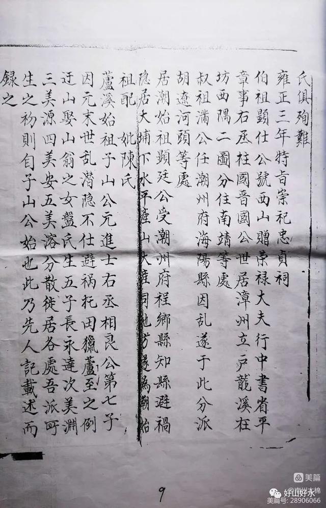 漳州百家姓（12）——潘（盤）姓 __ 南州木棉