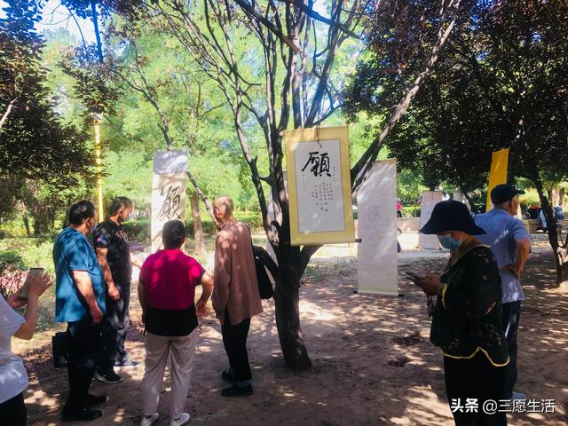 鄭飛院內(nèi)龍鳳和美之處，儷睿人“愿”字書幡隨風飄揚，金光耀眼