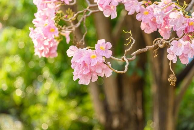 老子《道德經(jīng)》從易經(jīng)吸取到多少奧秘