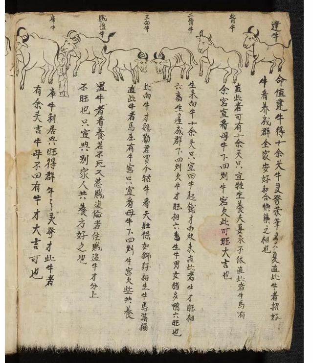 古代命理算卦秘本--鑒賞