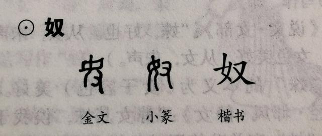 女字的筆畫(huà)順序女字的筆畫(huà)順序怎么寫(xiě)