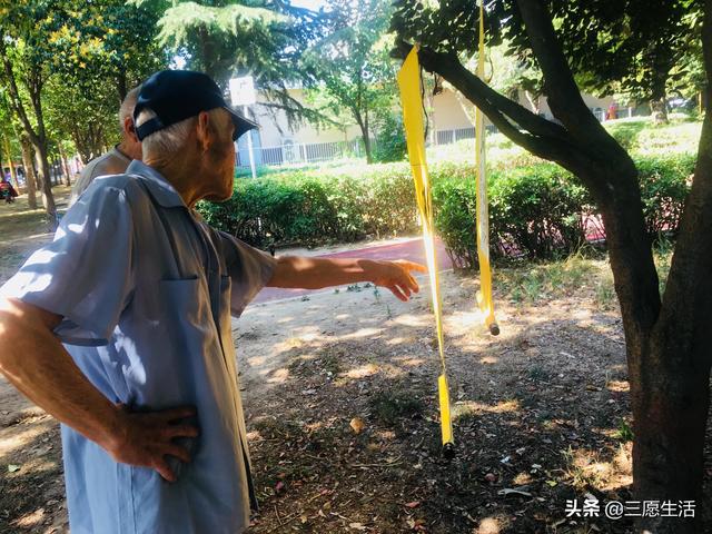 鄭飛院內(nèi)龍鳳和美之處，儷睿人“愿”字書幡隨風飄揚，金光耀眼
