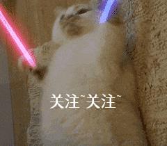中型犬品種大全及圖片中大型犬品種大全圖片