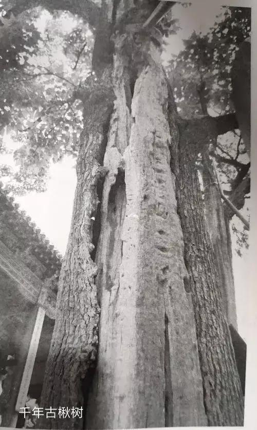 曰"宛"，曰"宛中，隆"，曰"隆中"，曰"南陽"，曰"躬耕于南陽"解密