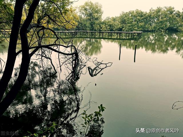 馨字在五行中屬什么的馨這個(gè)字屬于五行屬什么