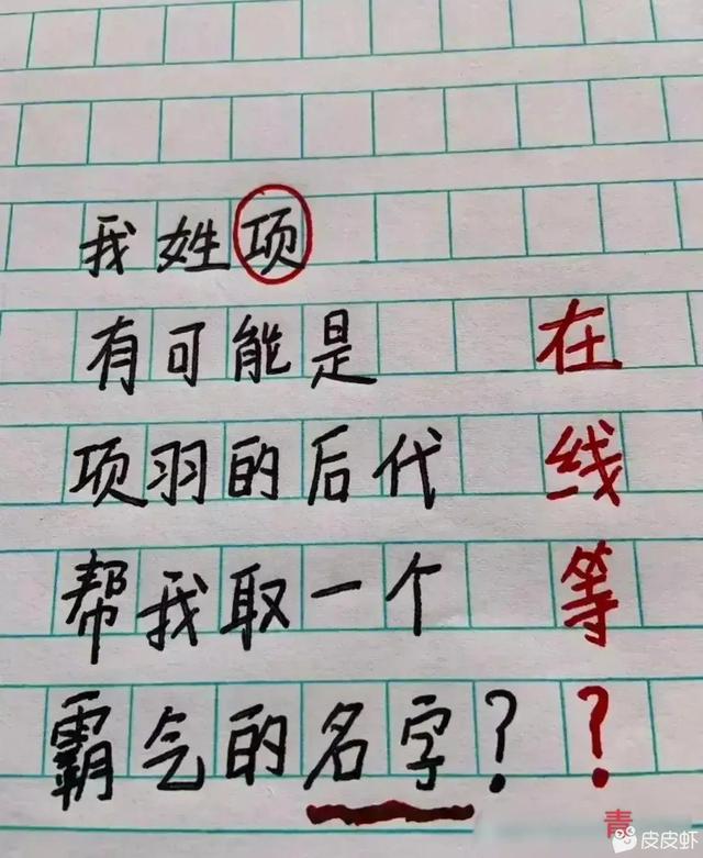 不要在網(wǎng)上問取名