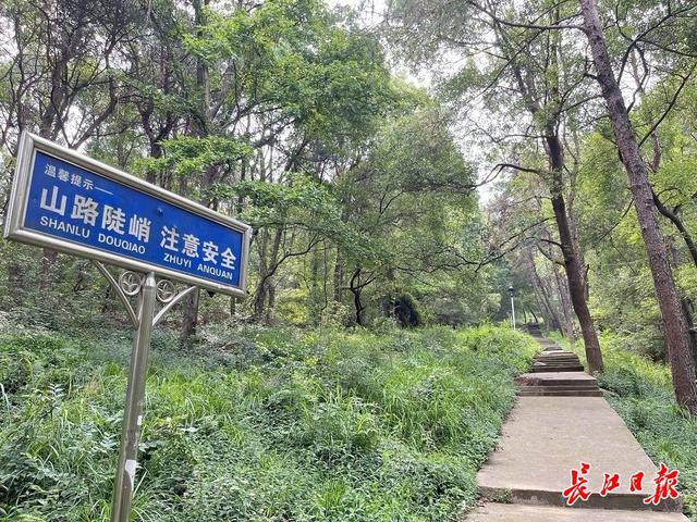 號(hào)稱武漢最野的山，到底有多野？提醒來了