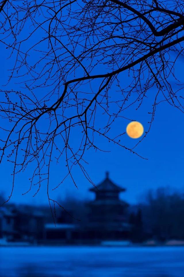 假如白居易邀請(qǐng)李白、莎士比亞一起賞月