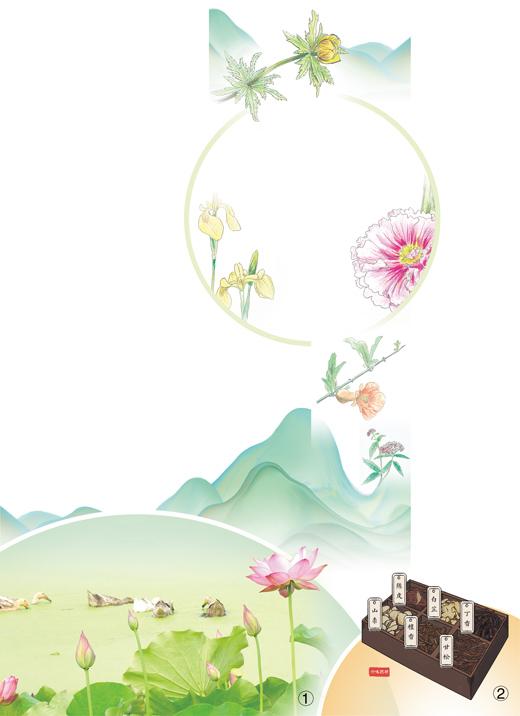 沅有芷兮澧有蘭 端午時(shí)節(jié)草木深