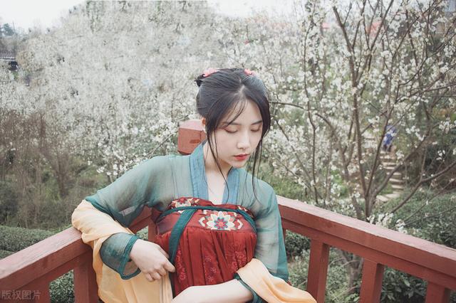 疏影橫斜水清淺，風(fēng)花雪月下的女孩名字