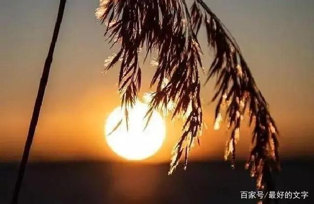 人的命運(yùn)是天注定嗎？