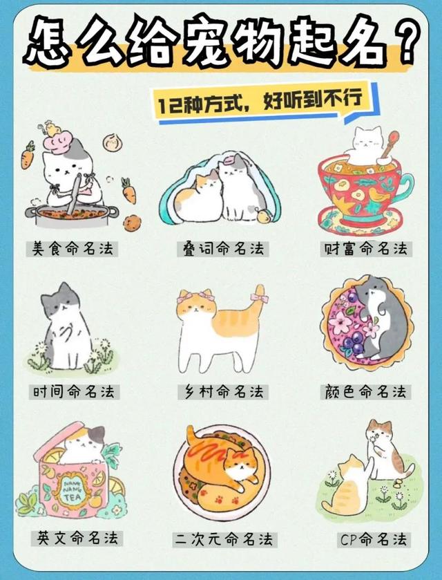 怎么給寵物起名？12種方式好聽(tīng)到不行