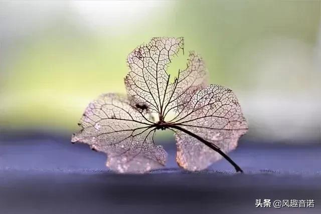 謙謙君子，謙則亨通，為什么只有“謙”卦全是吉