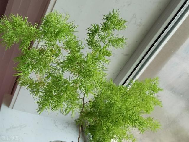 家有“富祿壽喜財(cái)吉”，越住越舒服，你家若有3種以上，恭喜了