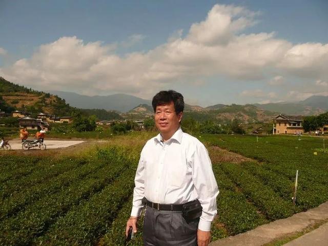 漳州百家姓（12）——潘（盤）姓 __ 南州木棉