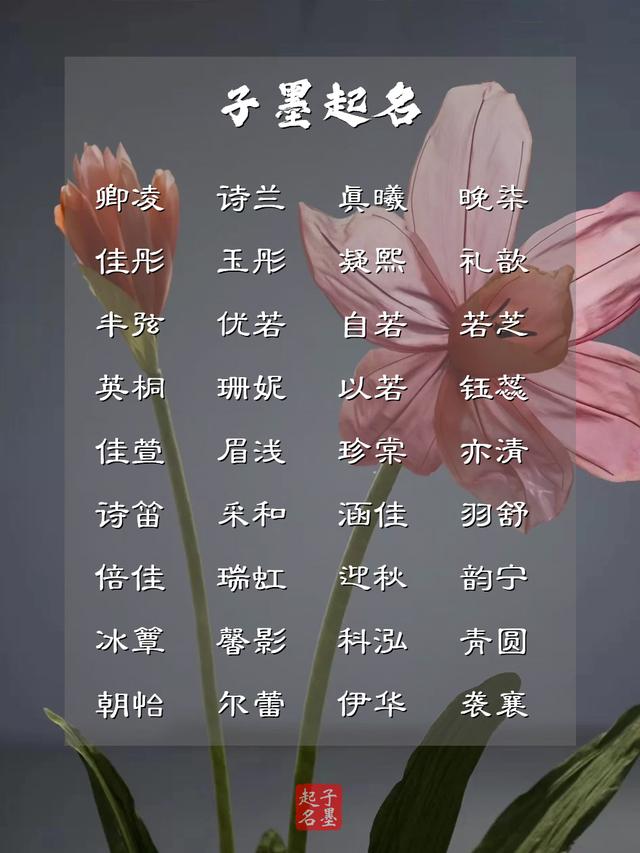 疏影橫斜水清淺，風(fēng)花雪月下的女孩名字