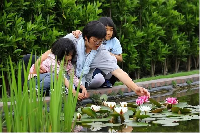 創(chuàng)業(yè)13年搬家13次，打造出3000平方米夢幻花園，這個打工仔憑啥？