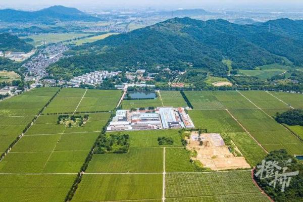 南宋帝陵為何選在紹興？葬了7個皇帝為什么叫“宋六陵”