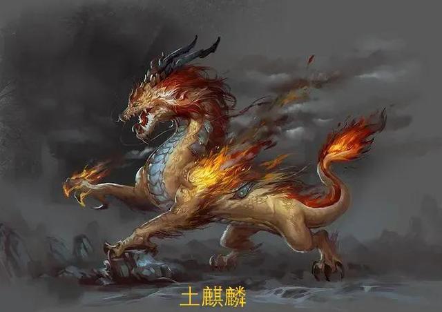 麒麟有幾種