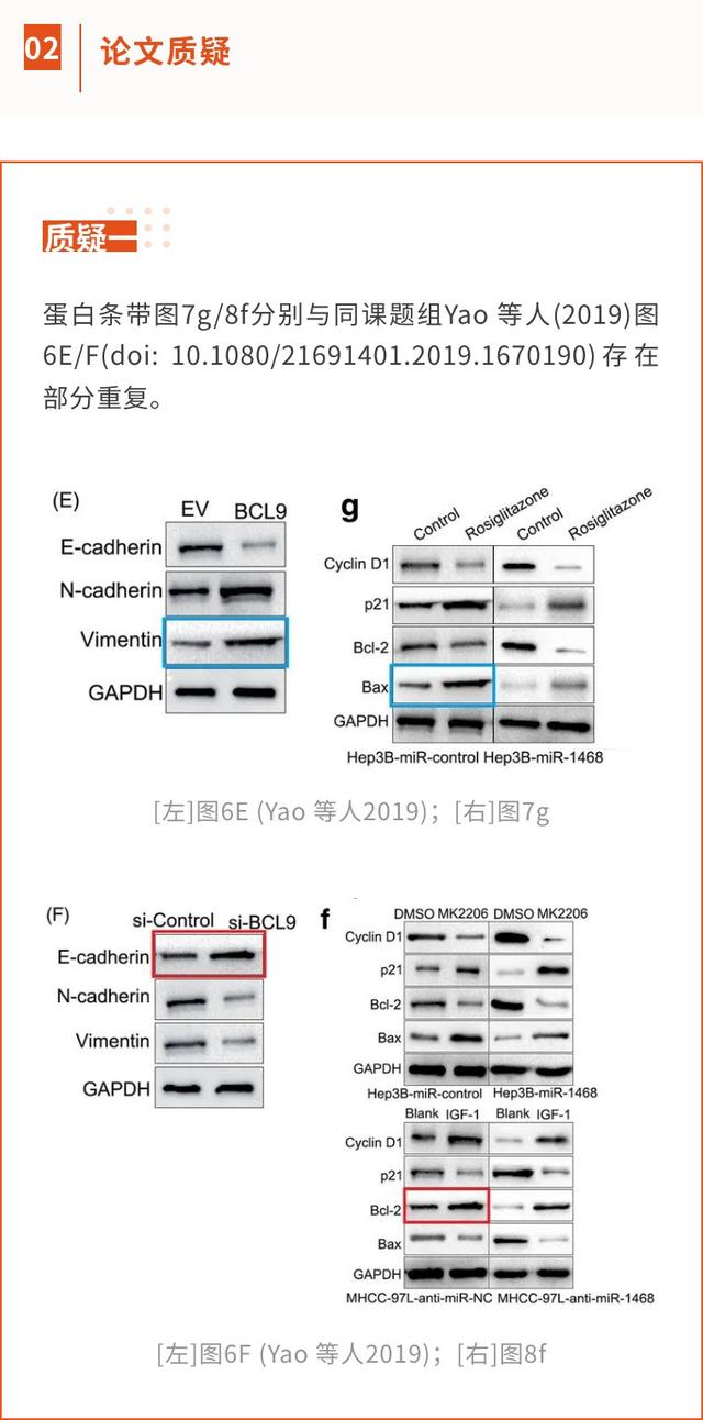 西安交通大學第一附屬醫(yī)院的高分論文因大量圖片重復將撤回