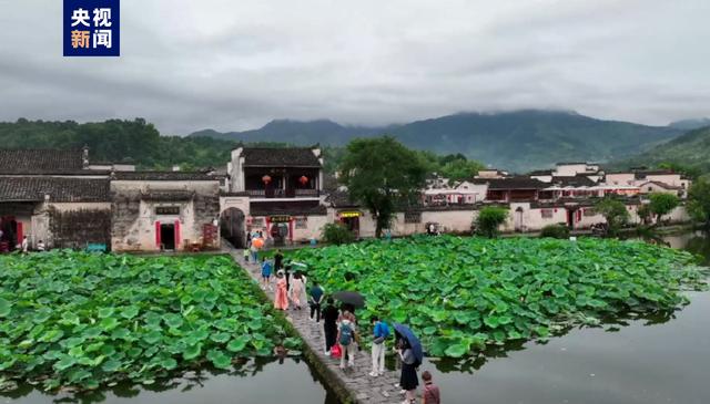 茹字的五行屬性是什么茹字的五行屬性是什么意思