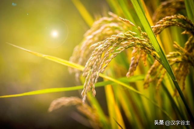 馨字五行屬什么行書馨字屬于五行屬什么行