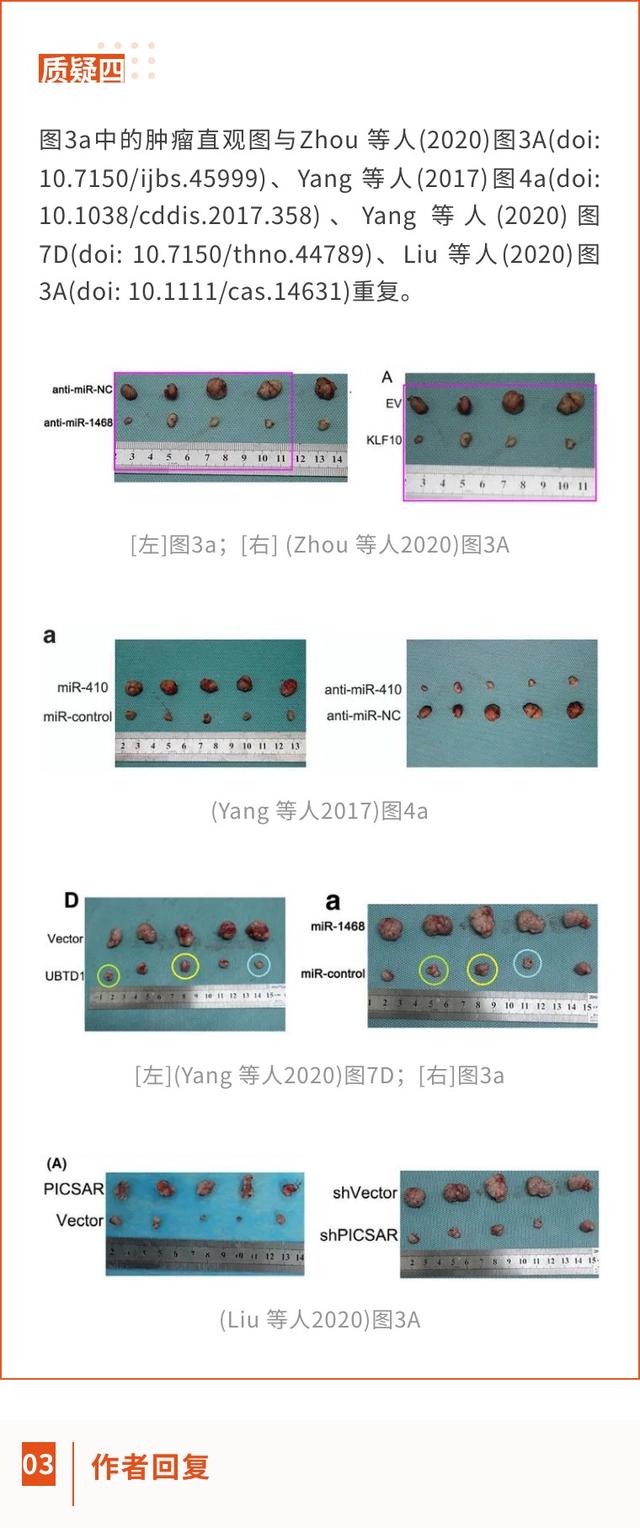 西安交通大學第一附屬醫(yī)院的高分論文因大量圖片重復將撤回