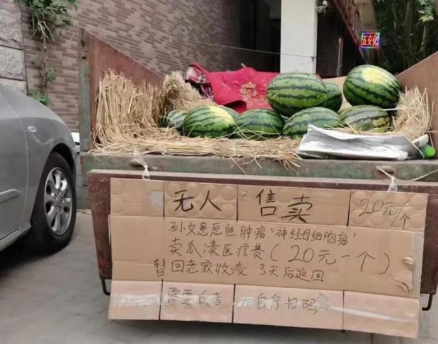 這個無人售賣西瓜攤火了！很多人付錢卻不拿瓜…