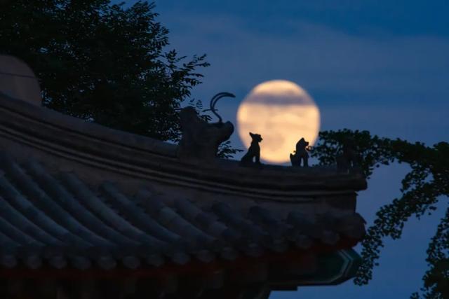 假如白居易邀請(qǐng)李白、莎士比亞一起賞月