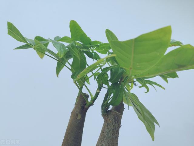 家有“富祿壽喜財(cái)吉”，越住越舒服，你家若有3種以上，恭喜了
