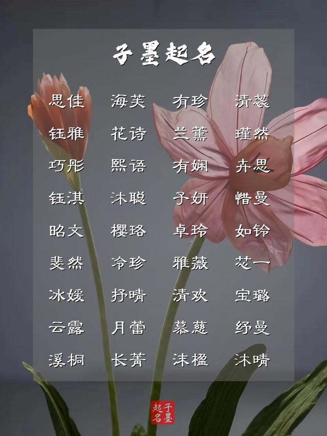 疏影橫斜水清淺，風(fēng)花雪月下的女孩名字