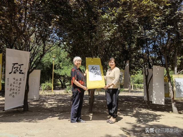 鄭飛院內(nèi)龍鳳和美之處，儷睿人“愿”字書幡隨風飄揚，金光耀眼