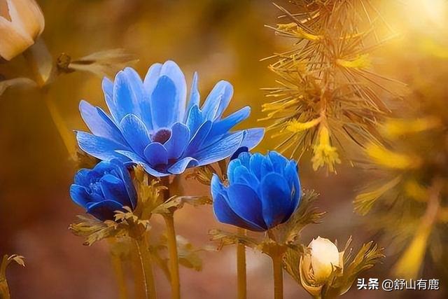 人這一生，到底是富貴命，還是勞碌命，只跟這兩點(diǎn)有關(guān)