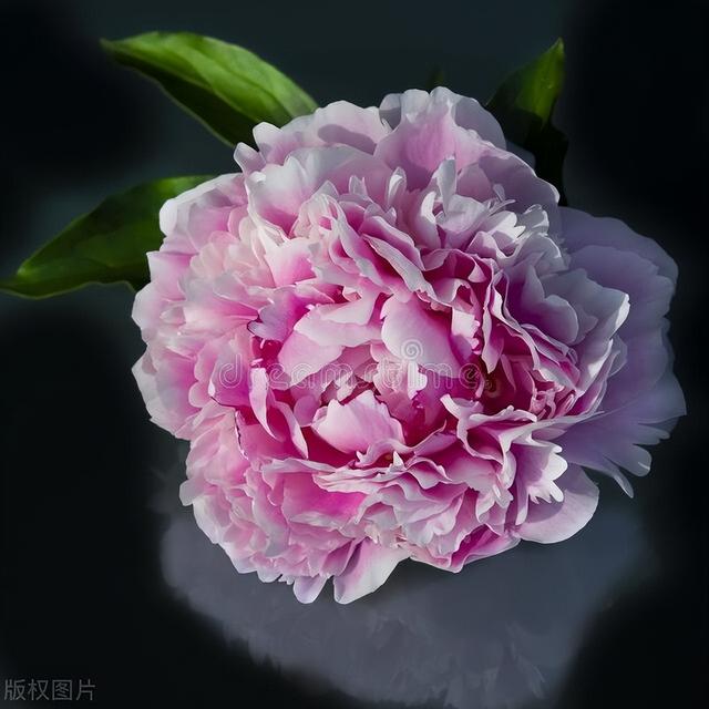 家有“富祿壽喜財(cái)吉”，越住越舒服，你家若有3種以上，恭喜了