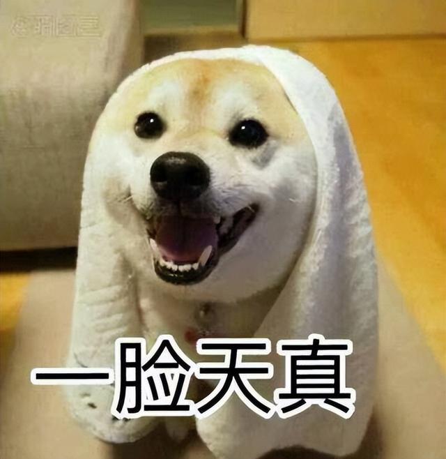 論給狗狗“起名”，我們鏟屎官就沒(méi)輸過(guò)