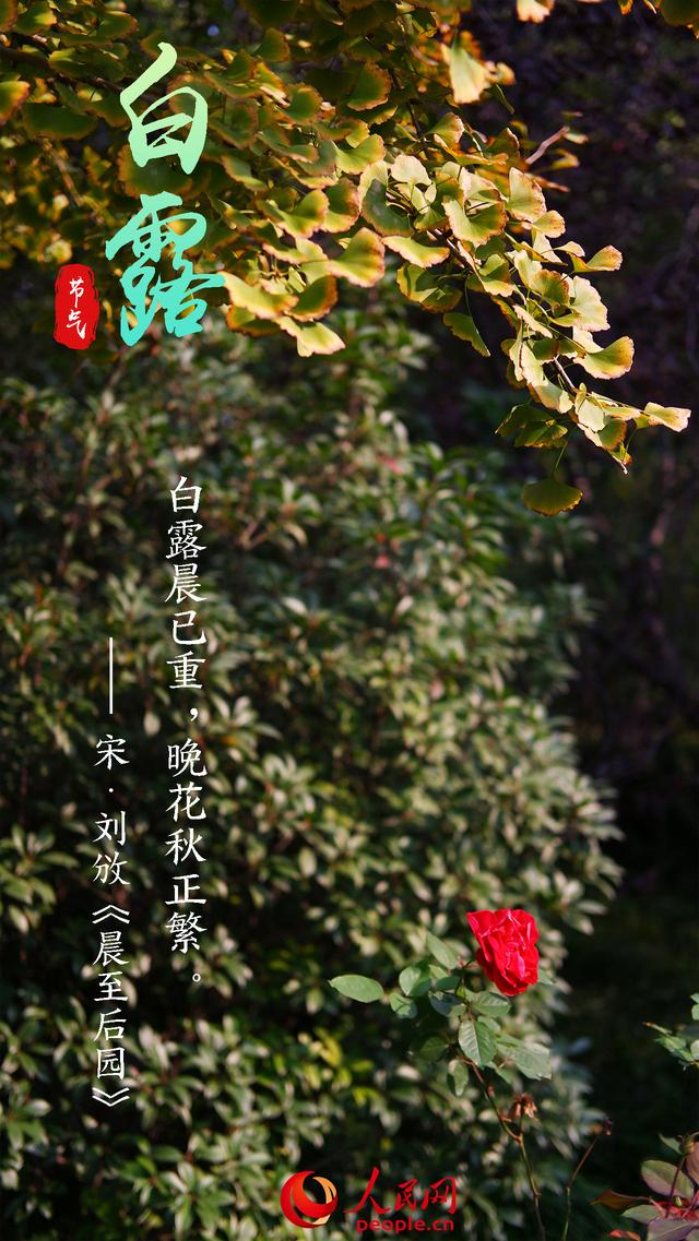 溫字五行屬什么意思？溫字五行屬什么的意思！