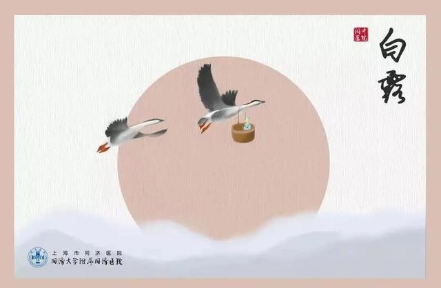 謝字五行屬什么？謝字五行屬什么的！