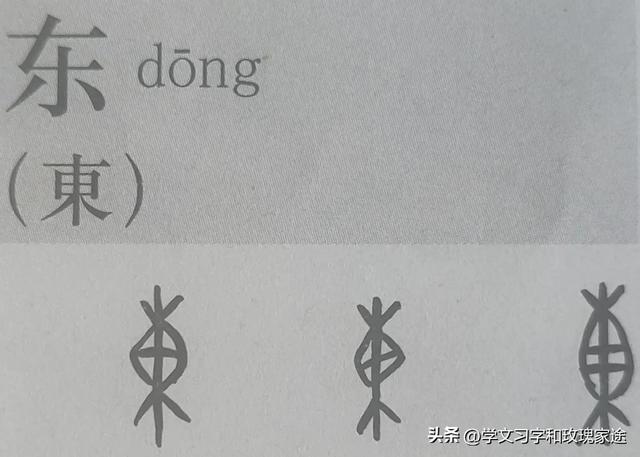 陳五行屬性是什么？陳五行屬性是什么意思！