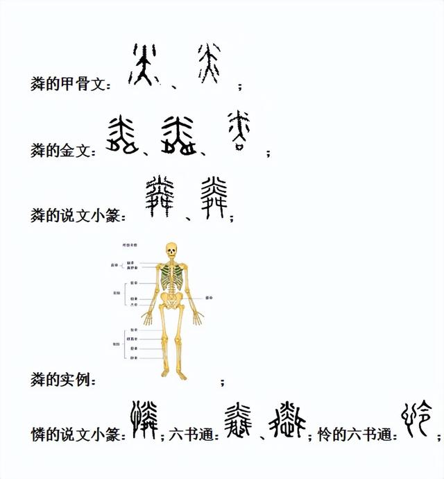 騏字五行屬什么的意思？騏字五行屬什么和意義！