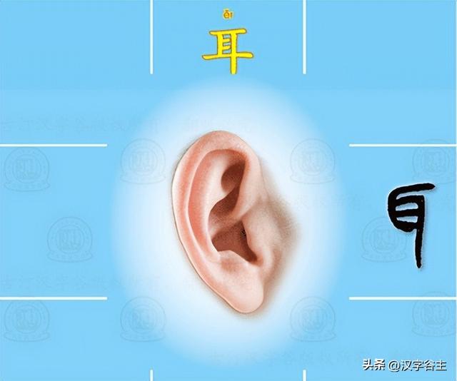 道開頭的成語有什么？道開頭的成語接龍大全！