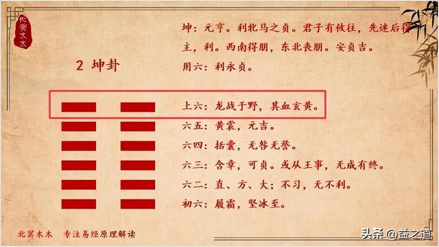 野字屬什么生肖？野字五行屬什么的！