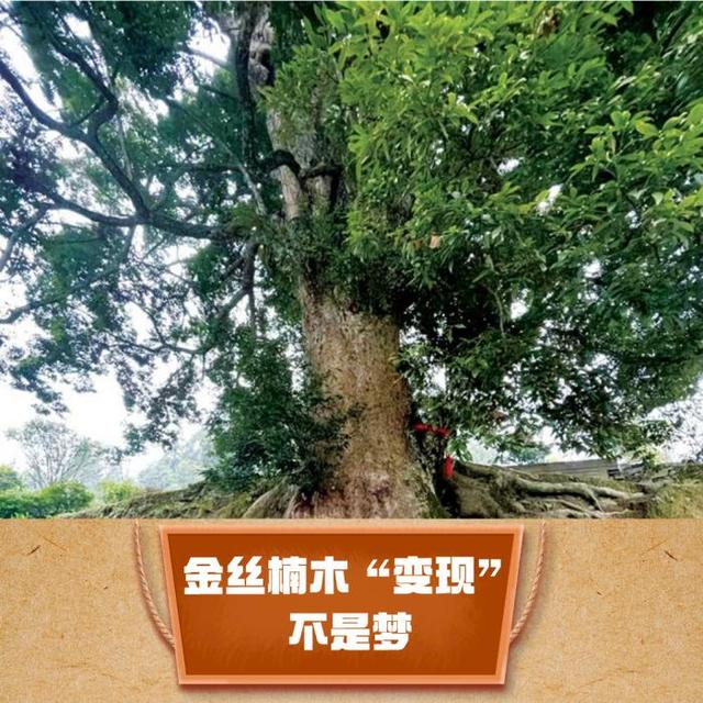渝字五行屬什么的吉兇？渝字五行屬性什么！