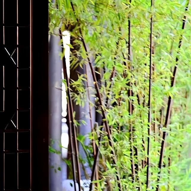 農(nóng)村民宿名稱大全簡單大氣？農(nóng)村民宿名稱大全簡單大氣四字！